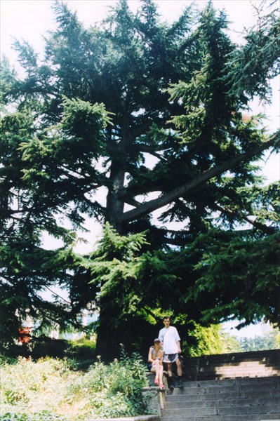 Никитский ботанический сад, пос. Никита